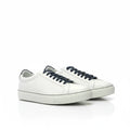 The Ardo Low Kick