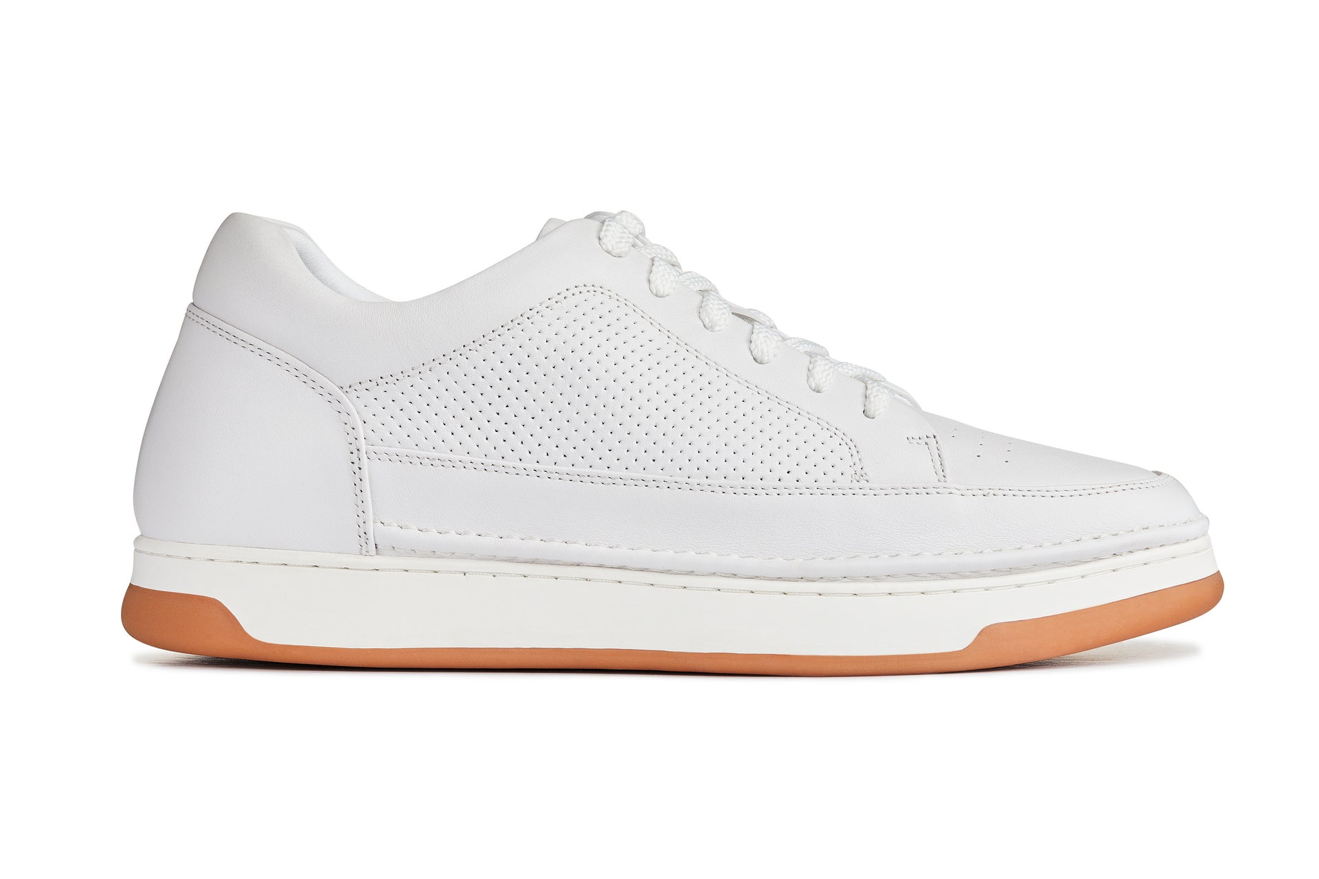 The Elevated Sneaker