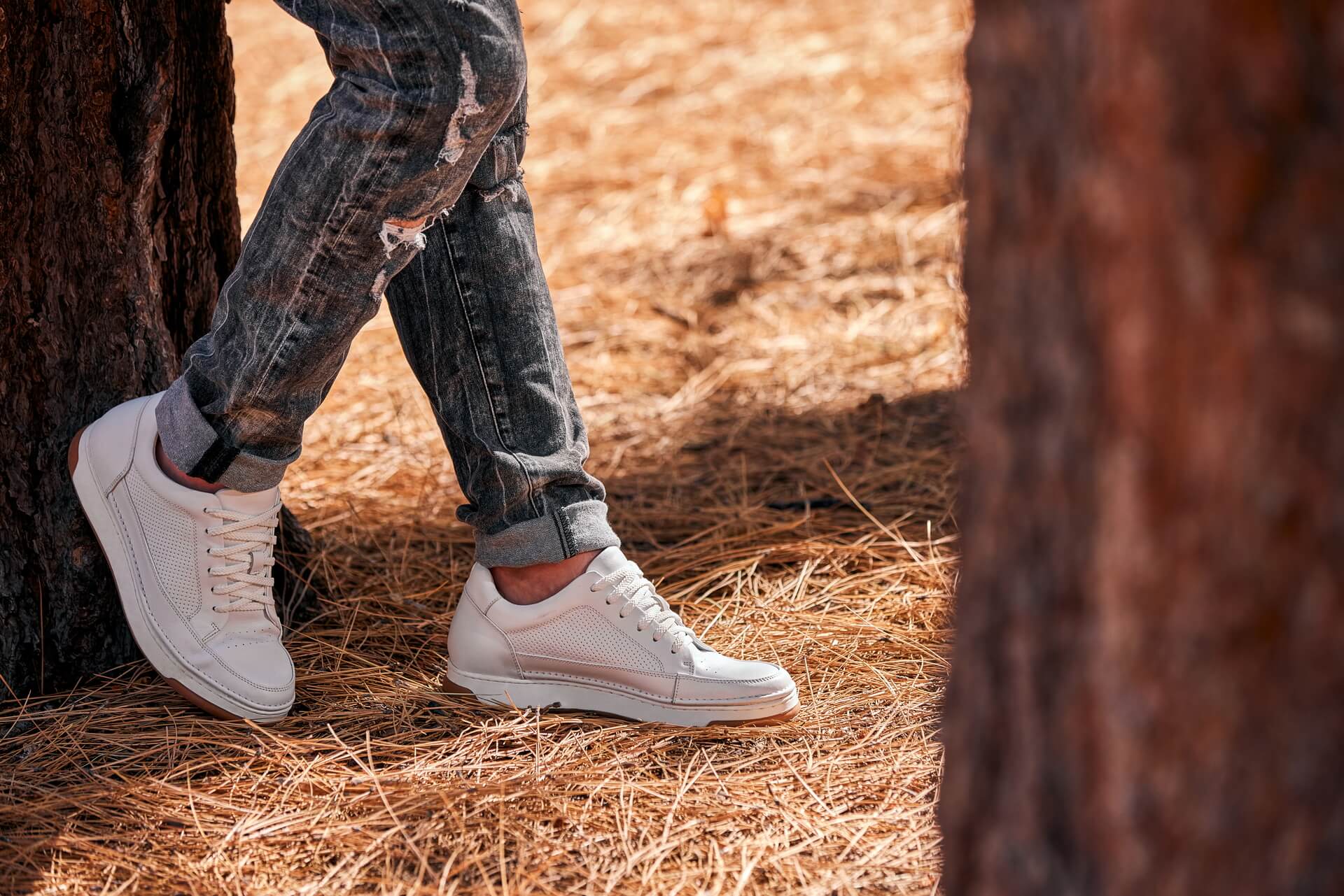 The Elevated Sneaker