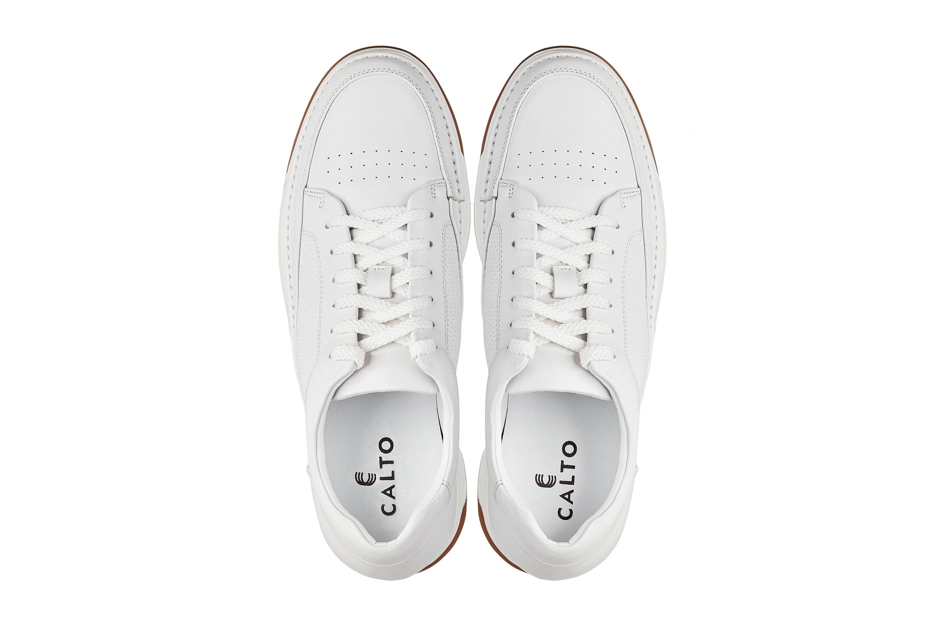 The Elevated Sneaker
